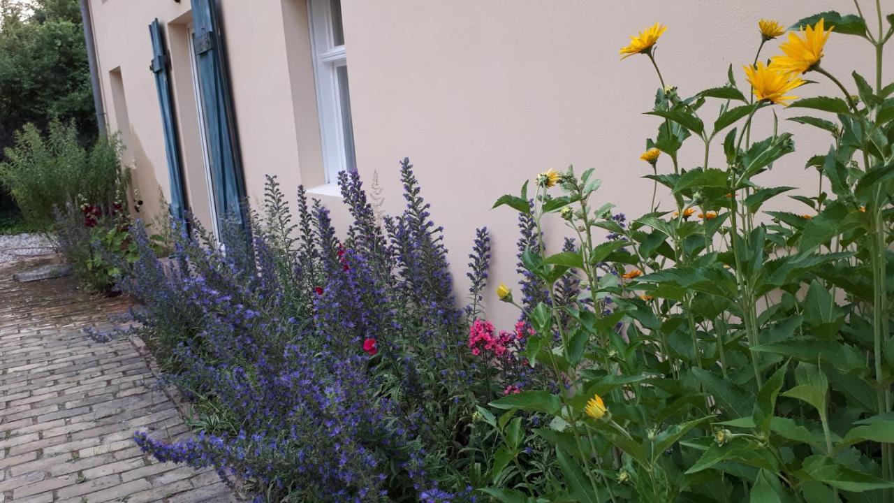דירות ולטן Blumenhaus מראה חיצוני תמונה